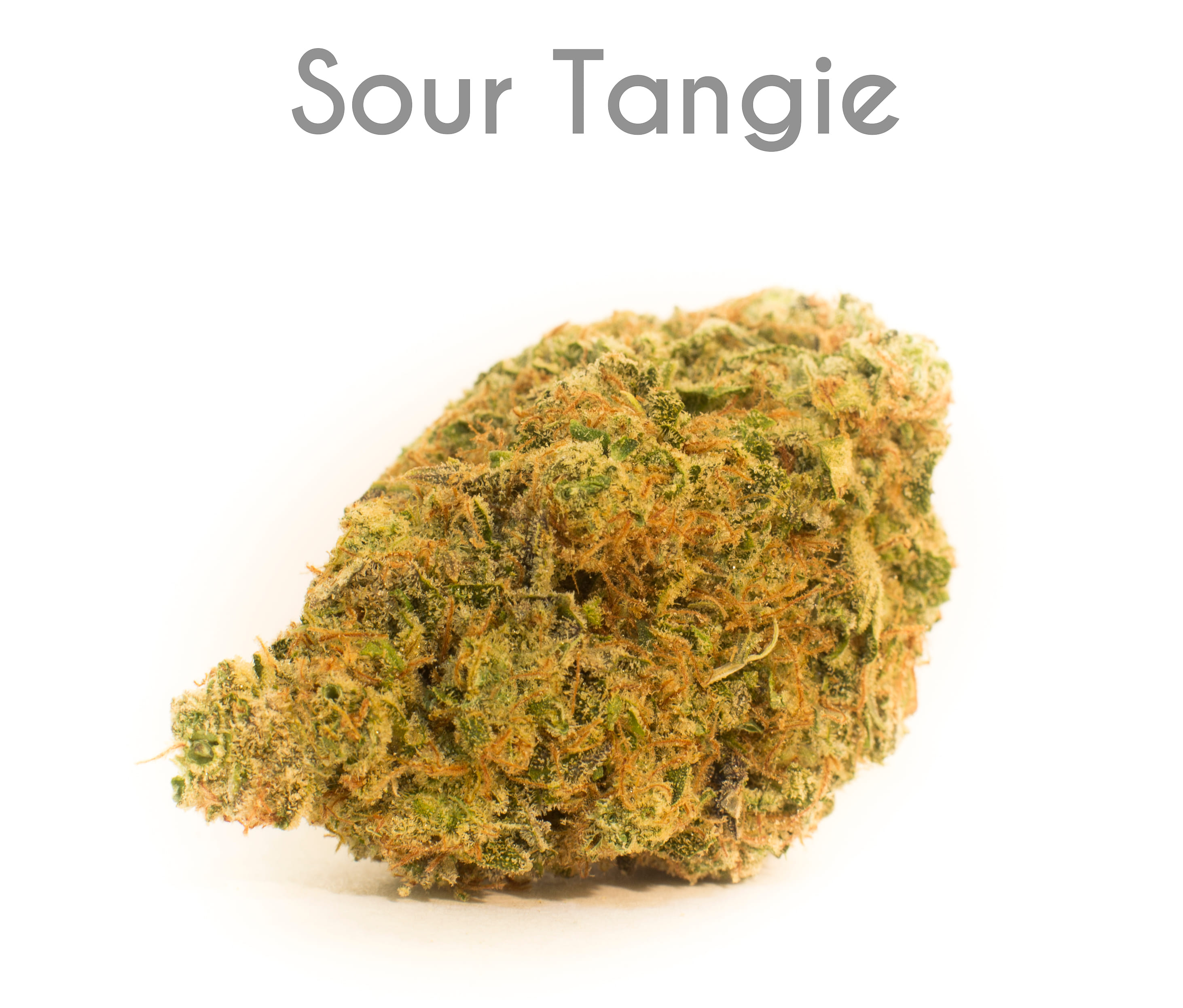 Sour Tangie (METRC)