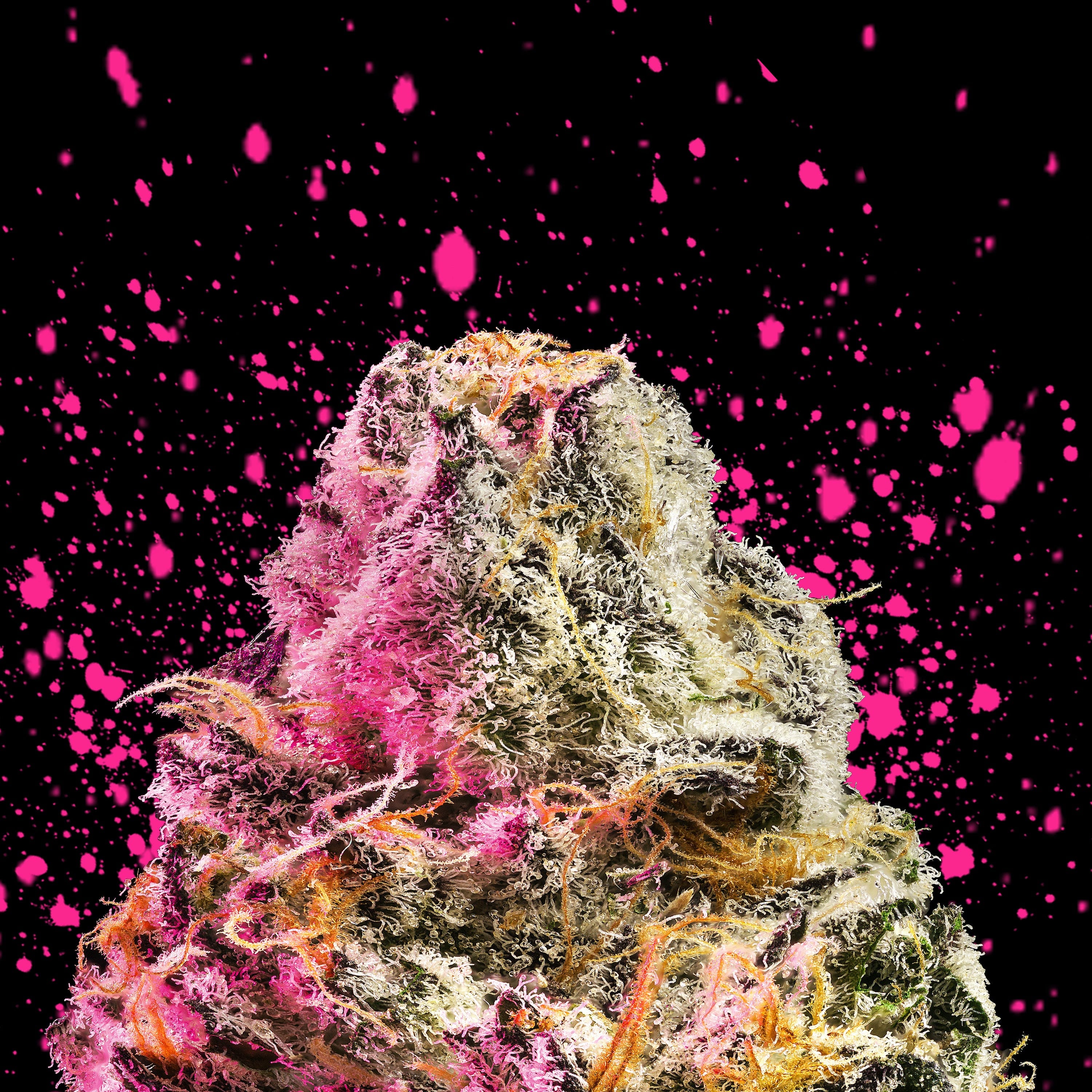Mendo Breath 3.5g*